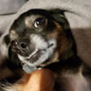 Meet your Posher, Stacey